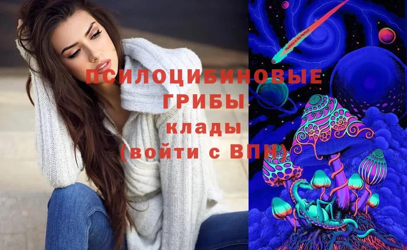 Псилоцибиновые грибы Cubensis  Череповец 